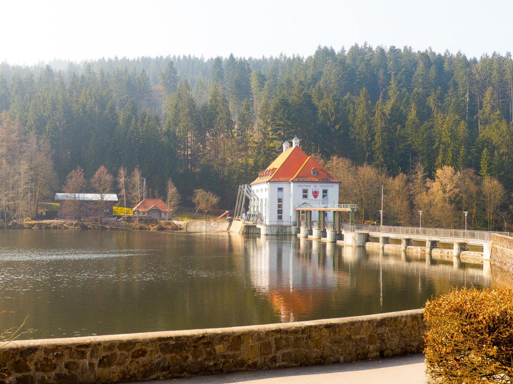 Ferienhaus Nr 6, Typ A, Feriendorf Jaegerpark, Bayerischer Wald Viechtach Eksteriør bilde